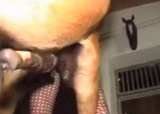 Hardcore horse in the animal sex vid