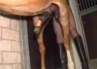 Hardcore horse in the animal sex vid