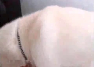Ebony is being licked so sweet