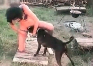 Kinky lady is enjoying animal cock