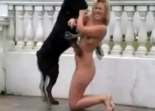 Black young dog and blonde