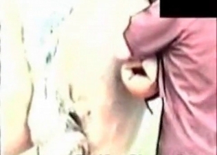 Horse dicks zoo porn compilation