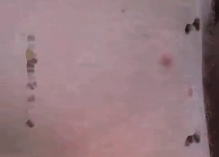 Horse is being pounded in anal