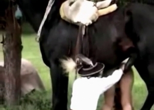 Farm bestiality with a milf