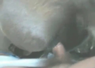 Juicy action with a nice horse