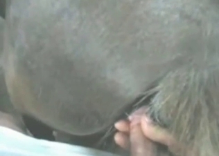 Juicy action with a nice horse