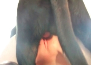 Doberman fills out her tight twat