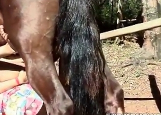 Impressive farm sex with a horse