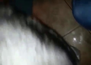 Cutie is wanking her dog's dick