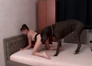Impressive Doberman enjoys dirty sex