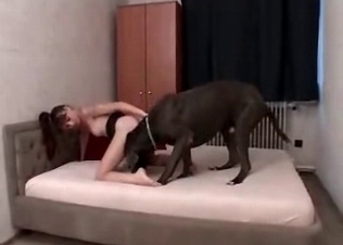 Impressive Doberman enjoys dirty sex