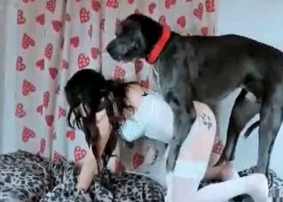 Dark-haired cutie enjoys dog sex