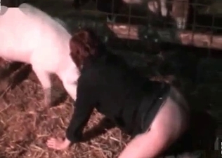 Sex in the barn in the night