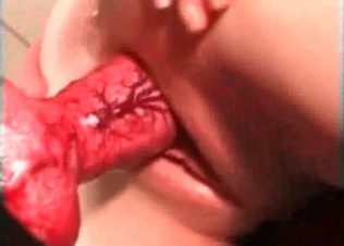 Venous red dick in a sweet vagina