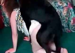 Doberman drills like a freaking god