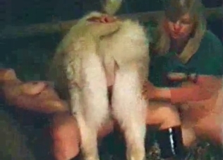 Dirty as hell dog sex action