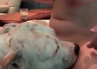 Busty masked slut plays with a doggy
