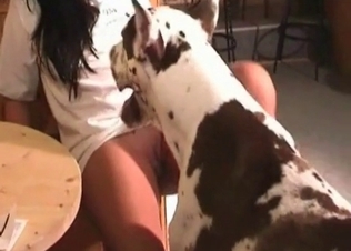 Hardcore dog sex action in the bedroom