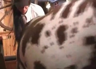 Hardcore dog sex action in the bedroom