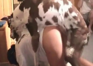 Hardcore dog sex action in the bedroom