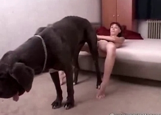 Amazing puss is being fucked by a dog