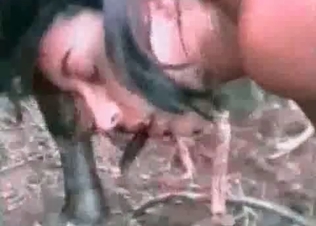 Brutal action with a massive animal cock