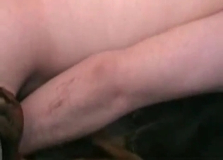 Zoophile is cumming on his lovely dog
