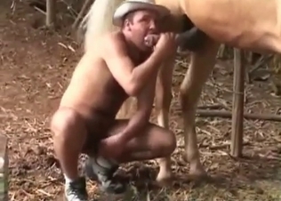 Farmer blows his own stallion