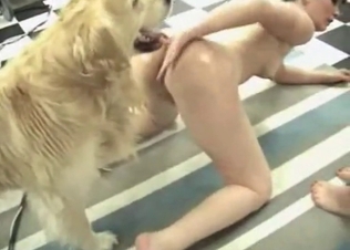 Two ladies and their hot hound