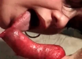 Teenager is enjoying animal porn