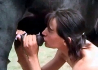 Cock sucking action with a stallion