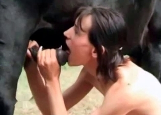 Cock sucking action with a stallion