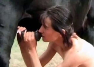 Cock sucking action with a stallion