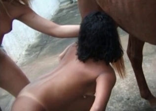 Kinky teen sucks a horse wiener