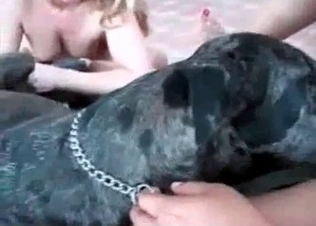 Dirty doggy and two zoophiles