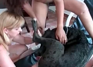 Dirty doggy and two zoophiles