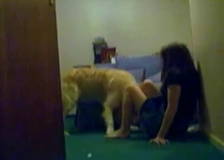 Trained doggy is enjoying filthy sex