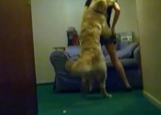 Trained doggy is enjoying filthy sex