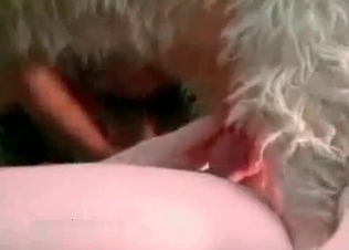 Doggy is being fucked in the asshole