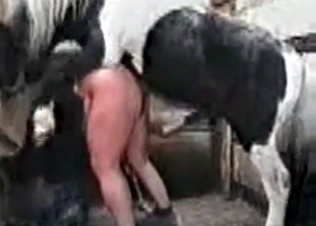 Hot as hell zoophilic bestial sex