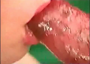 Long haired brunette suck a dog dick