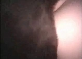 Brutal zoo porn with a stallion