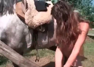 Zoo girl wanks horse dick