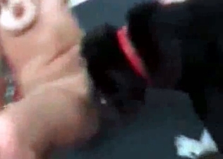 Beautiful doggy is licking so hot