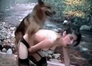 Shepherd fucks like a pornstar