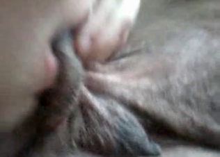 Anal action for a sexy doggy