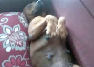 Anal action for a sexy doggy