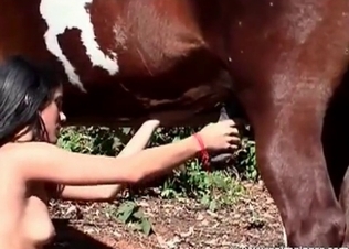 Nice bitch is sucking horse dick