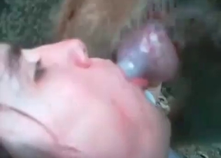 Blowjob action with a nice chick