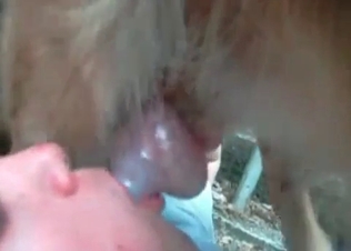 Blowjob action with a nice chick